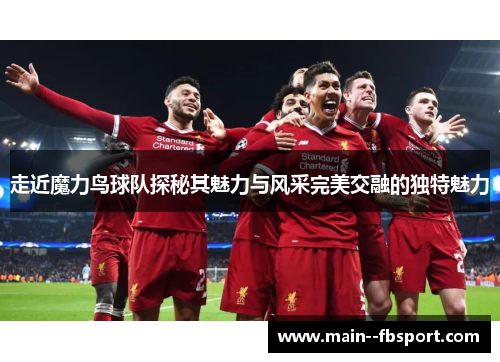 走近魔力鸟球队探秘其魅力与风采完美交融的独特魅力