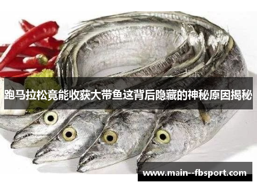 跑马拉松竟能收获大带鱼这背后隐藏的神秘原因揭秘 跑马拉松竟能收获大带鱼这背后隐藏的神秘原因揭秘