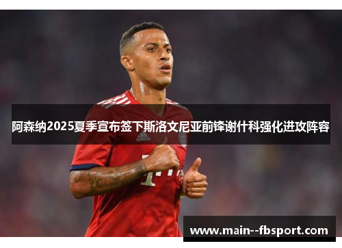 阿森纳2025夏季宣布签下斯洛文尼亚前锋谢什科强化进攻阵容 阿森纳2025夏季宣布签下斯洛文尼亚前锋谢什科强化进攻阵容